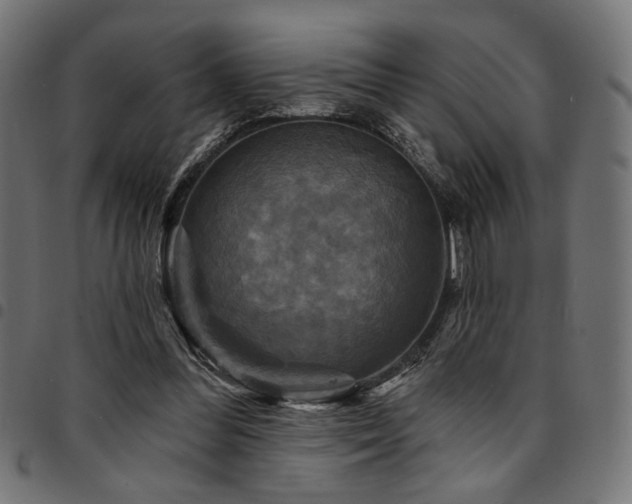 X0000095530300200712141508