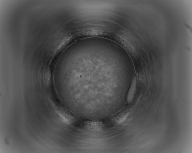 X0000095530304200712141508