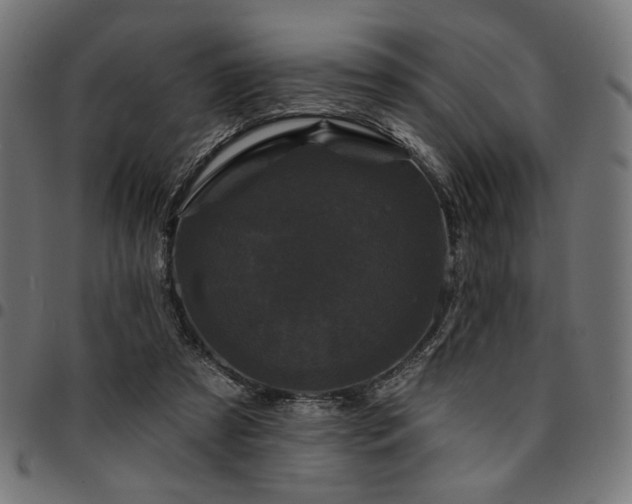 X0000095530305200712141508