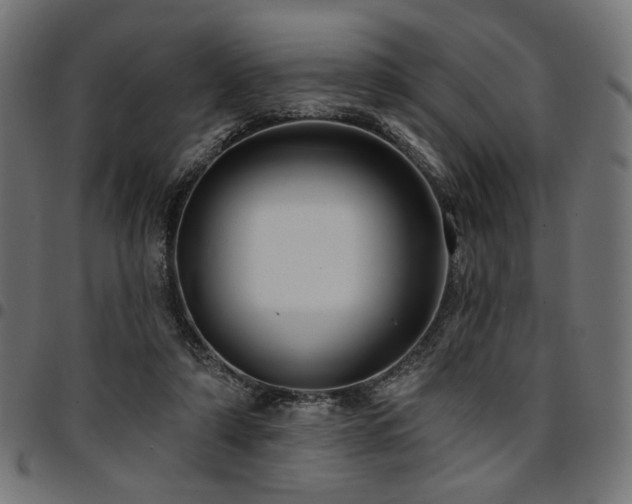 X0000095530306200712141508