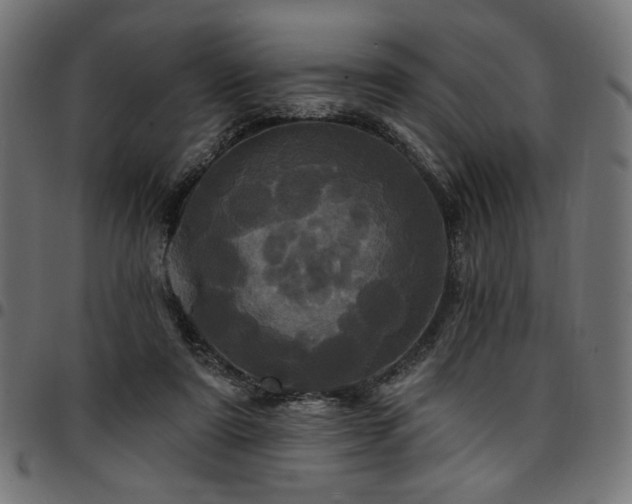 X0000095530307200712141508