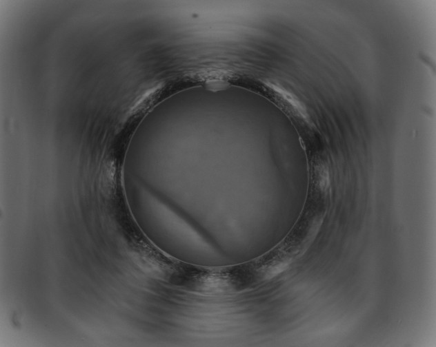X0000095530308200712141508