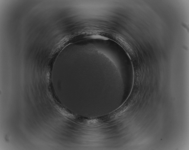 X0000095530309200712141508