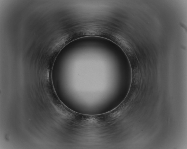 X0000095530310200712141508