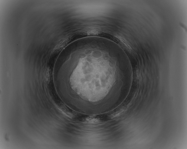 X0000095530311200712141508