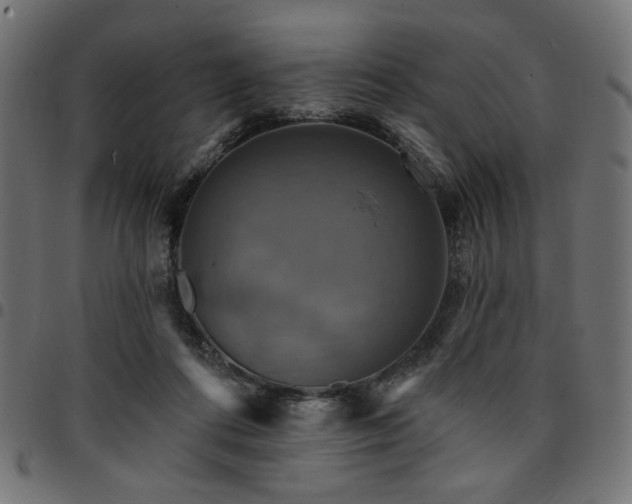 X0000095530312200712141508