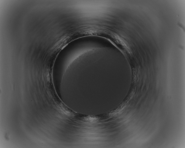 X0000095530313200712141508