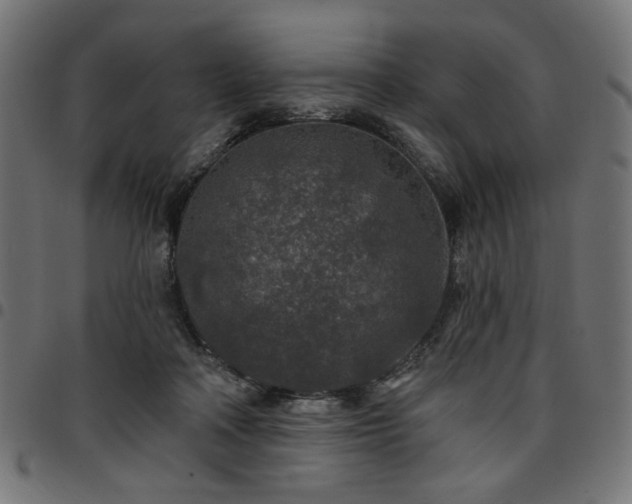 X0000095530314200712141508