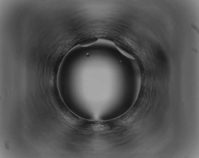 X0000095530315200712141508