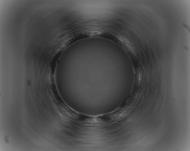 X0000095530316200712141508