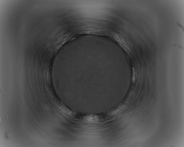 X0000095530317200712141508