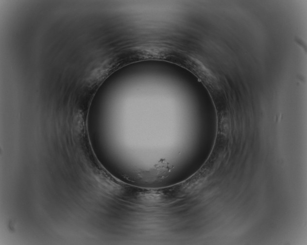 X0000095530318200712141508