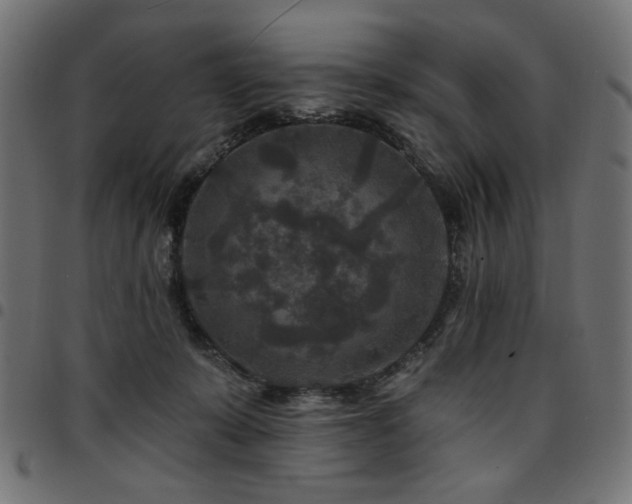 X0000095530319200712141508