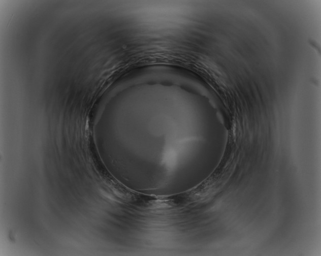 X0000095530320200712141508