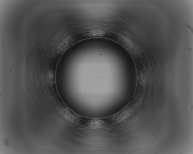 X0000095530321200712141508