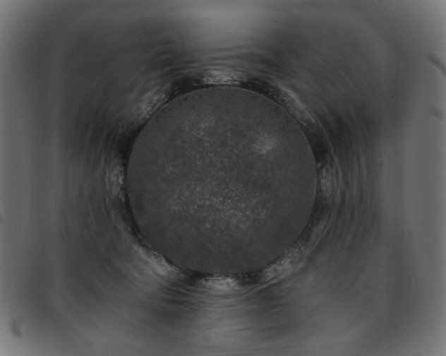 X0000095530322200712141508
