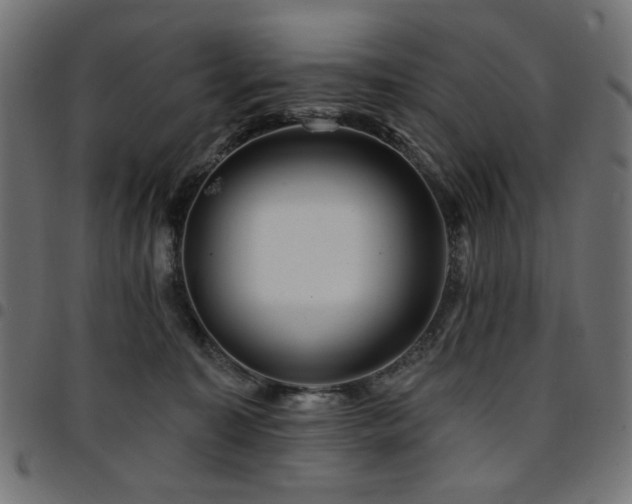 X0000095530323200712141508