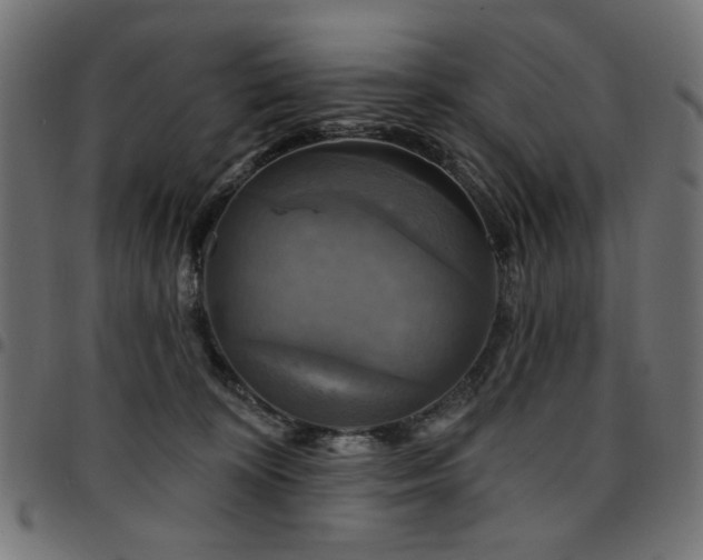 X0000095530324200712141508