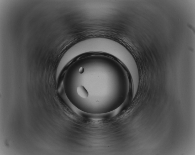 X0000095530325200712141508