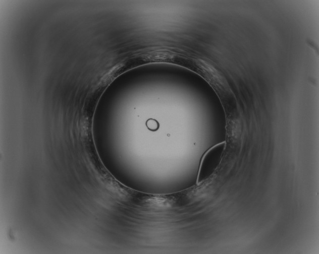 X0000095530326200712141508