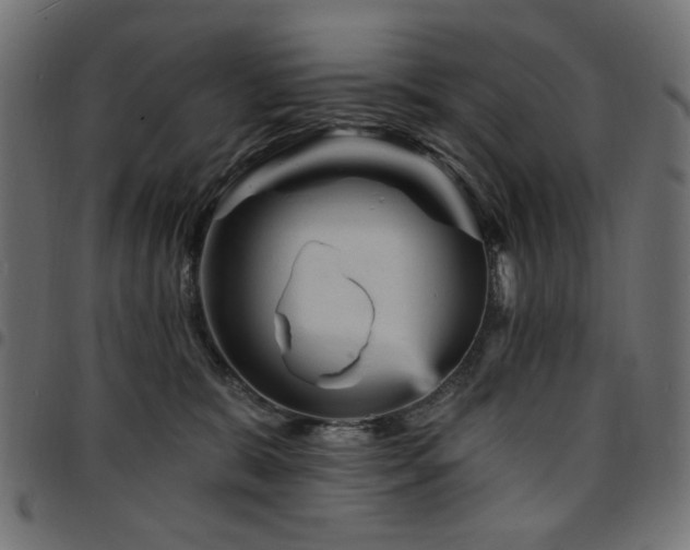 X0000095530327200712141508