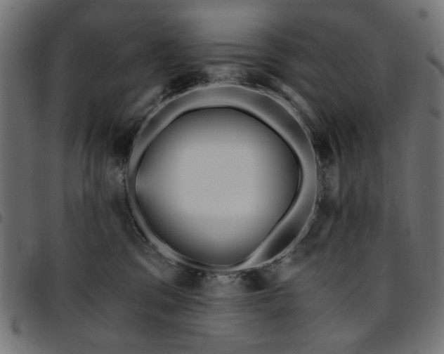 X0000095530329200712141508