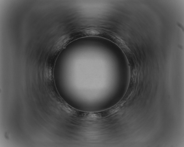 X0000095530330200712141507