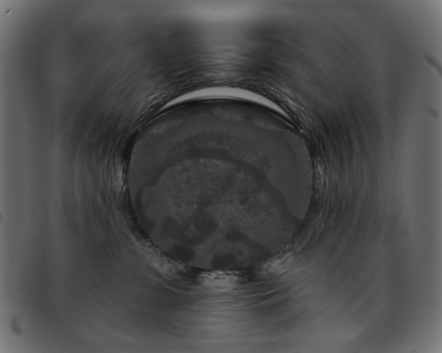 X0000095530331200712141507