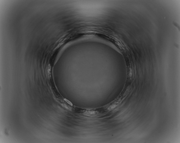 X0000095530332200712141507