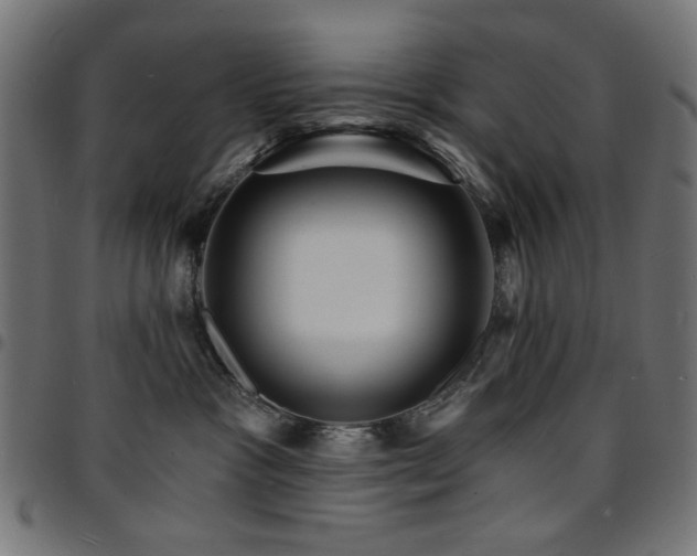 X0000095530333200712141507
