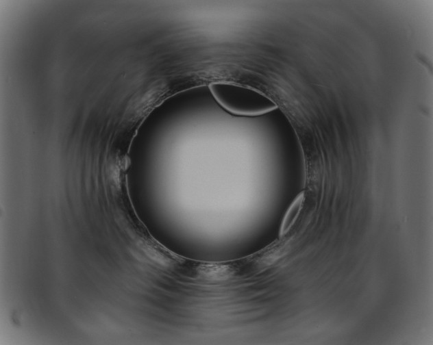 X0000095530334200712141507