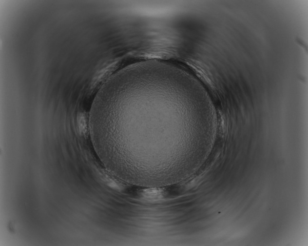 X0000095530335200712141507