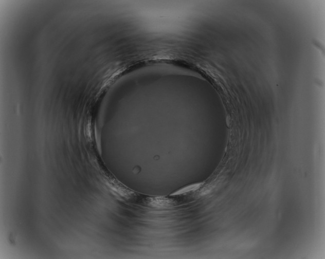 X0000095530336200712141507