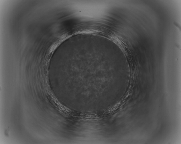 X0000095530337200712141507