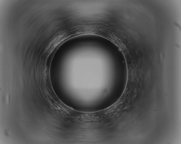 X0000095530338200712141507