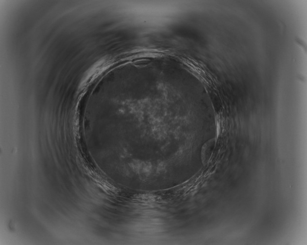 X0000095530339200712141507