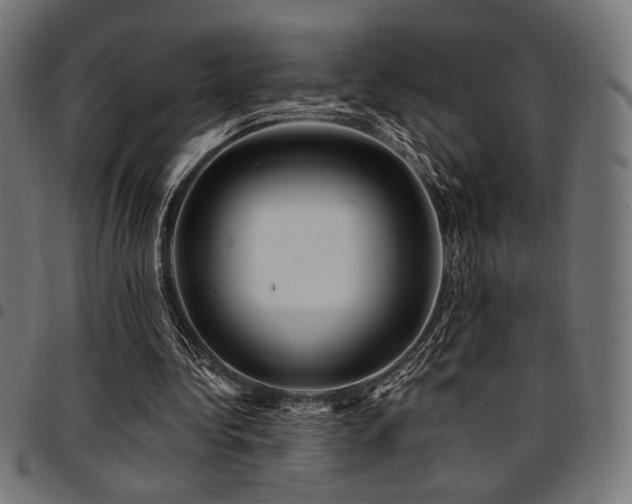 X0000095530340200712141507