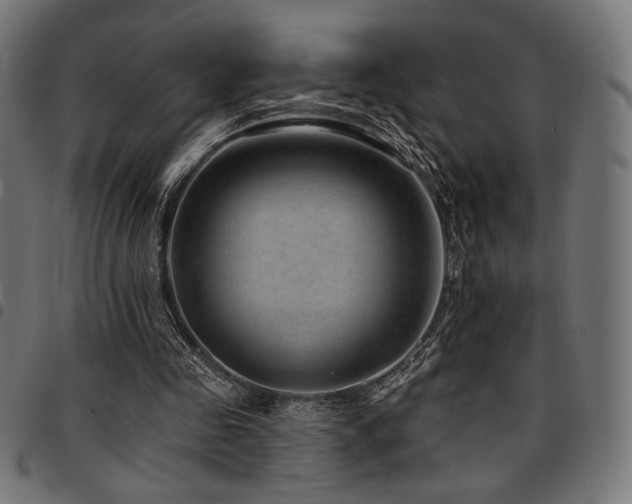 X0000095530341200712141507