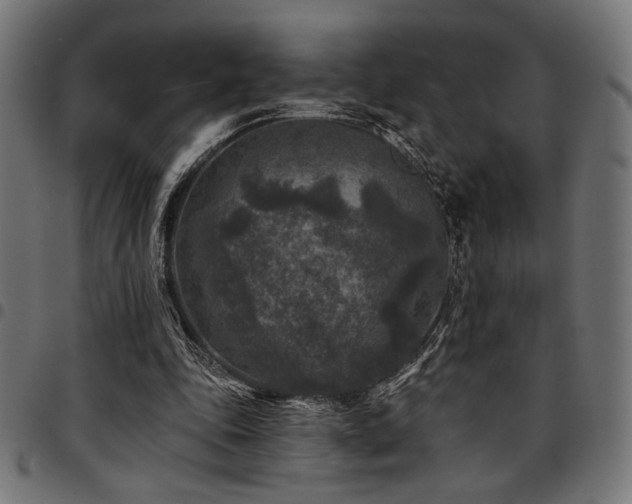 X0000095530343200712141507