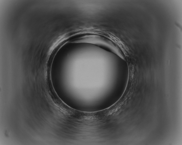 X0000095530344200712141507