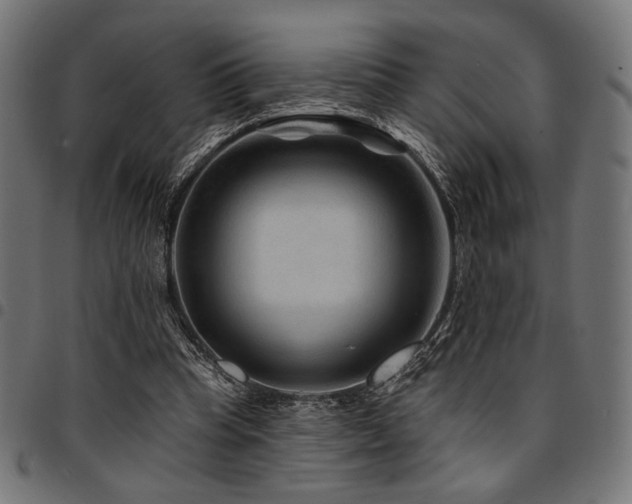 X0000095530345200712141507