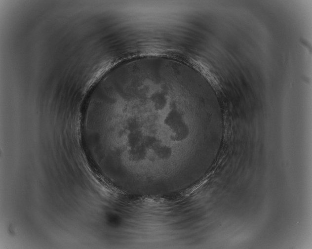 X0000095530346200712141507