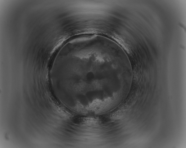 X0000095530347200712141507