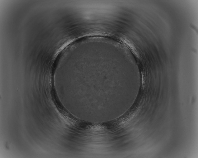 X0000095530348200712141507