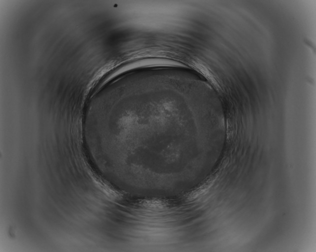 X0000095530349200712141507