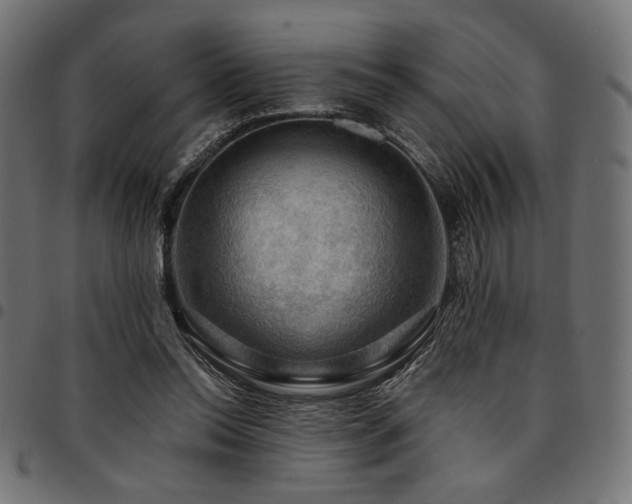 X0000095530350200712141507