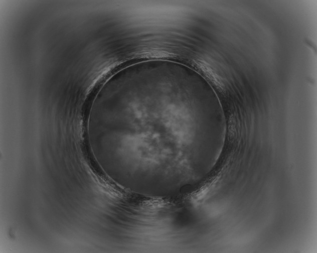 X0000095530351200712141507