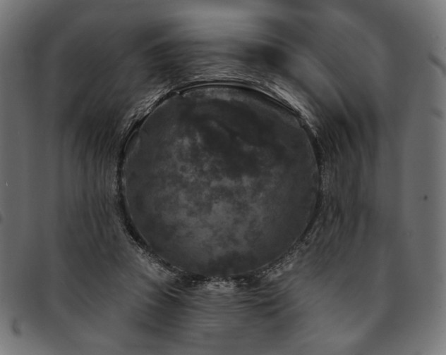 X0000095530353200712141507