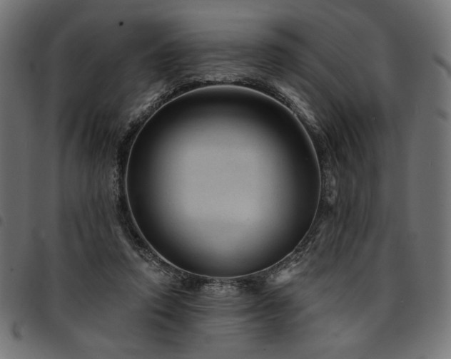 X0000095530354200712141507
