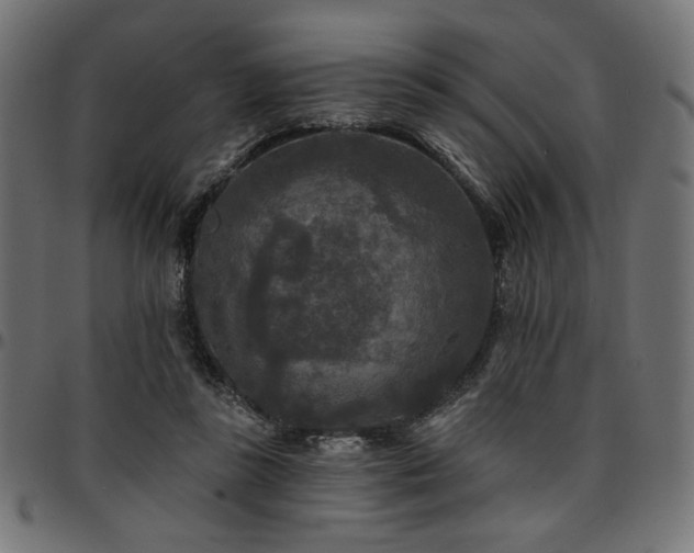 X0000095530355200712141507